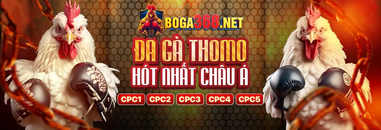 Khuyến mãi độc quyền Thomo Đá Gà Trực Tiếp