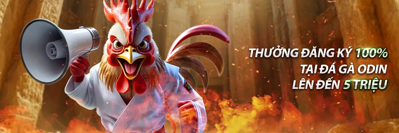 Sân vận động đá gà Thomo trực tiếp và cá cược thể thao sôi động