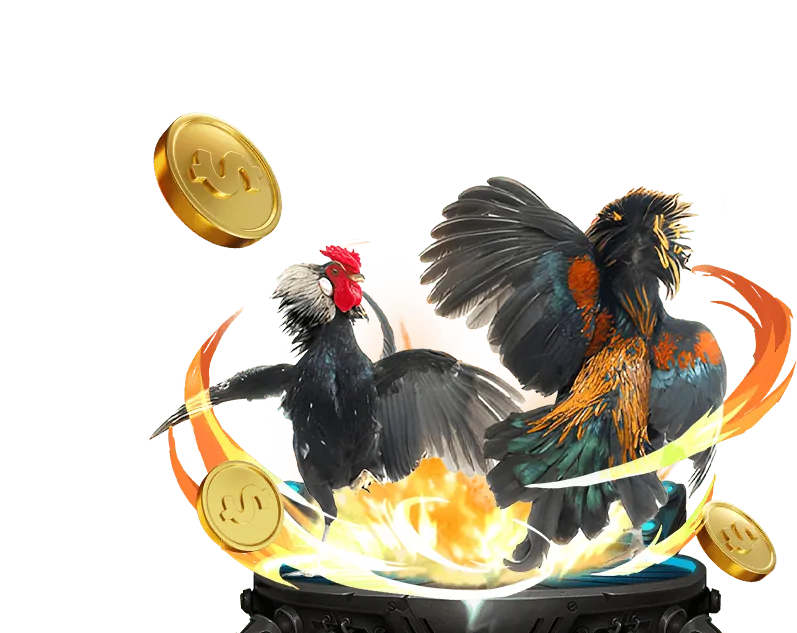 Lịch sử và văn hóa đá gà Thomo